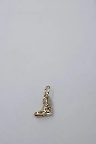 Dije Bota Lisa