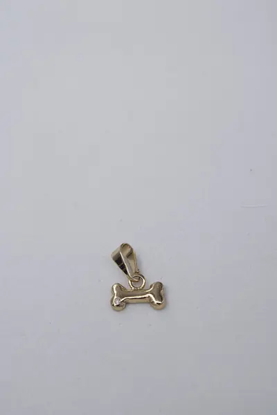Dije Hueso Liso Con Piedra