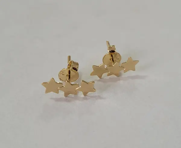 Topo Estrella