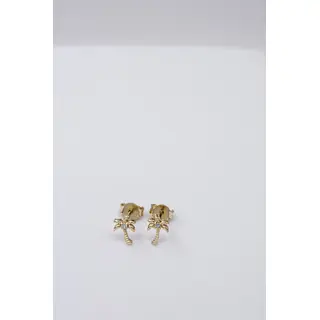 Topo Palmera Pq 1 Circon