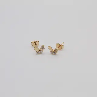 Topo Mariposa